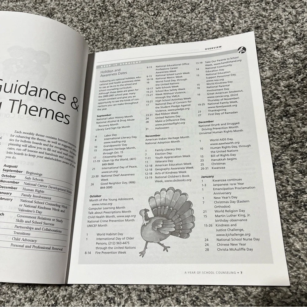 A Year of School Counseling Tools, Techniques, Themes Book